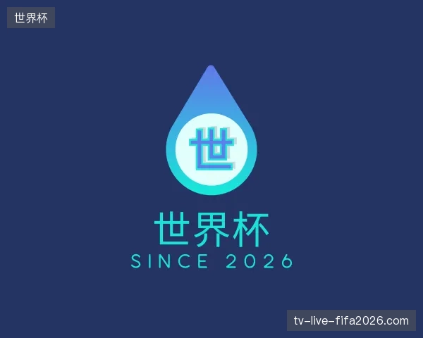 关于世界杯官方网站